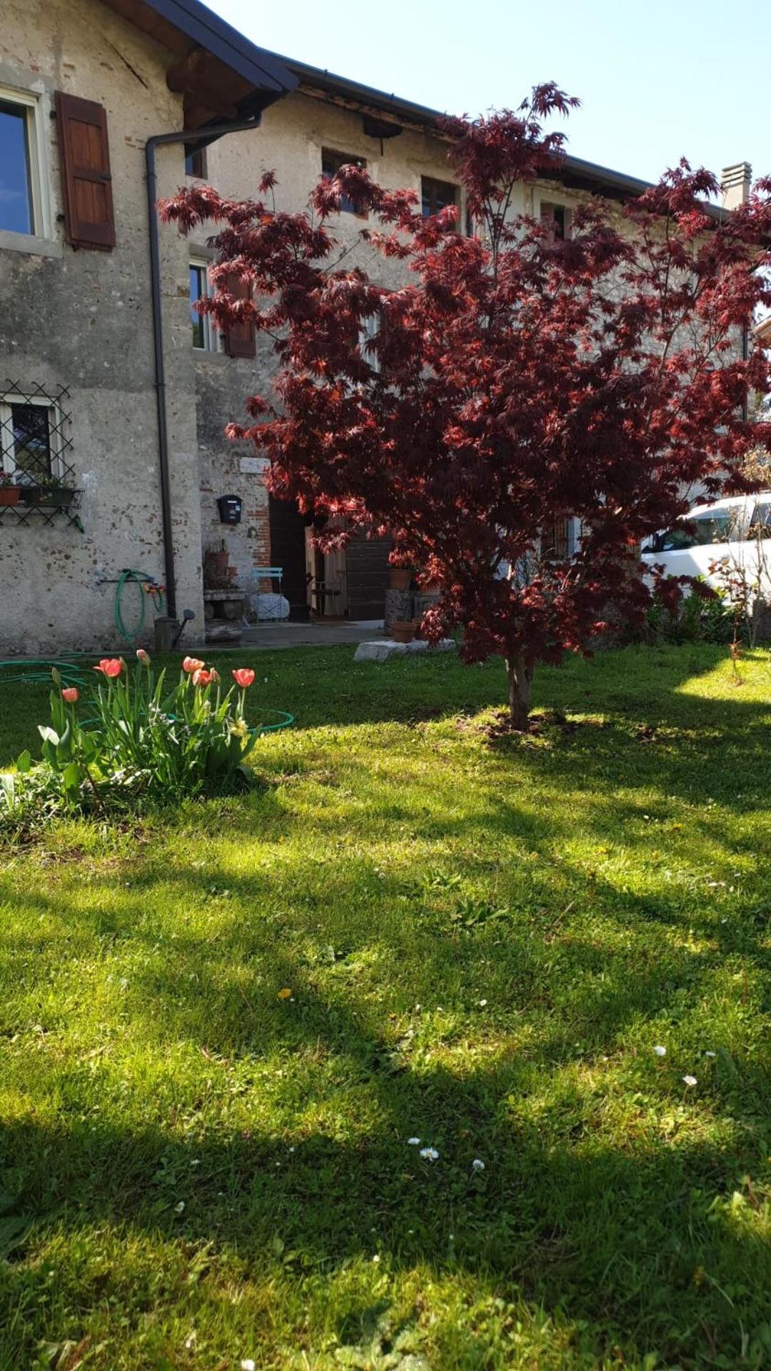 B&B Karin - Rooms & Breakfast Udine Extérieur photo